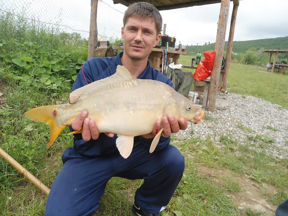 icn carp - 145073713904116945325701357352497n.jpg